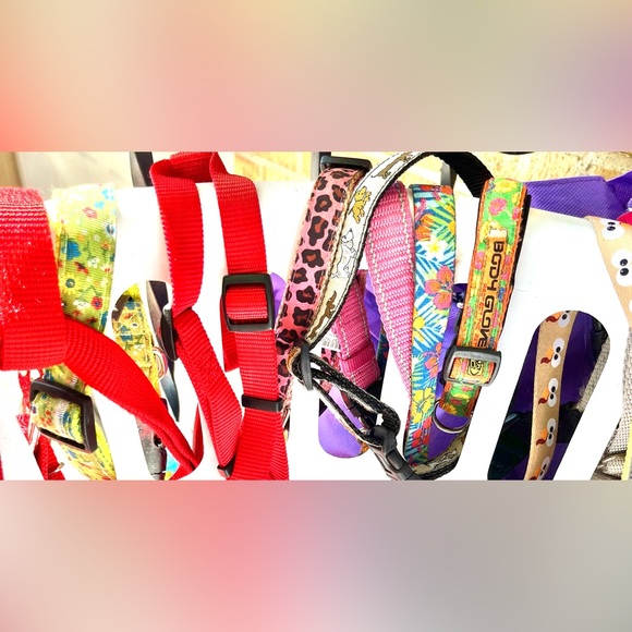 Pet accessories-select 4/$28 with discounted shipping. Build your own package! - Picture 11 of 16